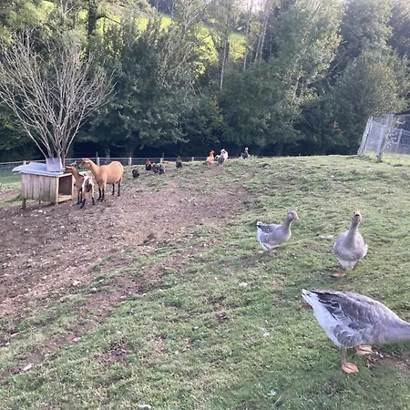 La Maison Familiale De Solene - Nature - Piscine - 12 Pers 別荘 *